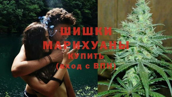 индика Нея