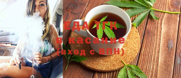 индика Нея