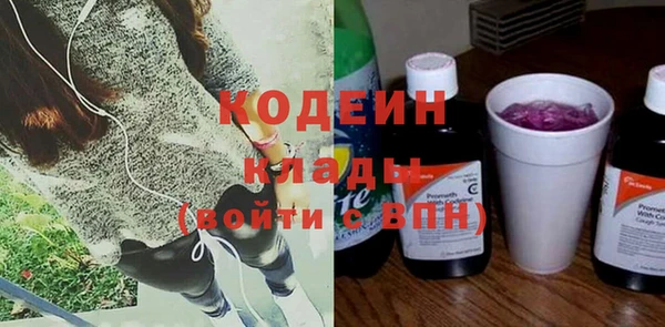 индика Нея