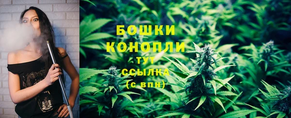 трава Абаза