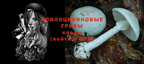 индика Нея