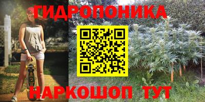 mdpv Новодвинск