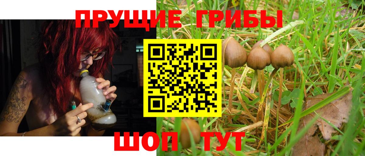 Галлюциногенные грибы Cubensis Шали