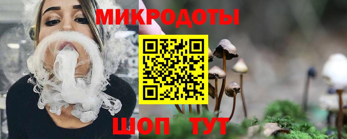 Галлюциногенные грибы Psilocybine cubensis  Псилоцибиновые грибы мицелий  Вход с VPN  Шали 
